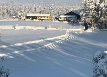 224a43e5 B56a 4279 831c 7dd7310f3fc5